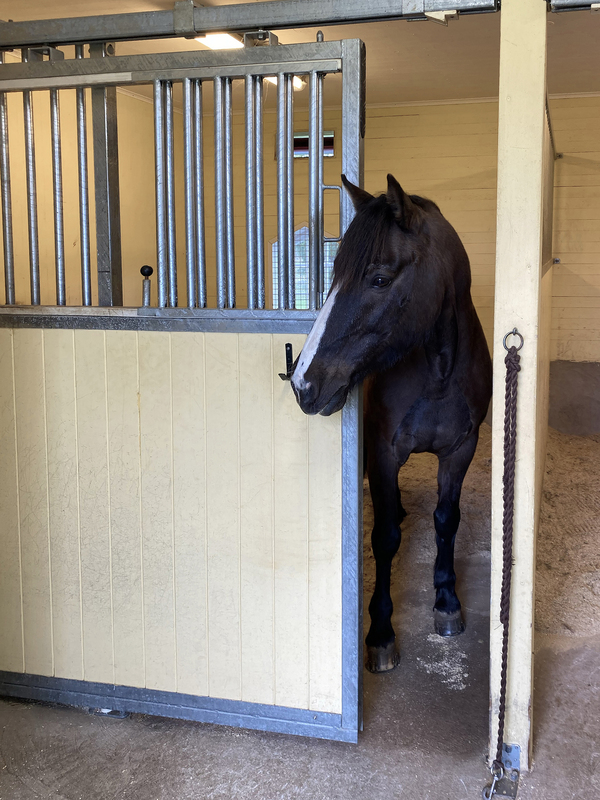 Beslagssats SF-40 Elzink